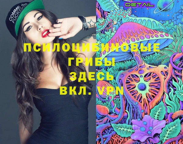 дмт Лагань