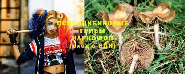 дмт Лагань