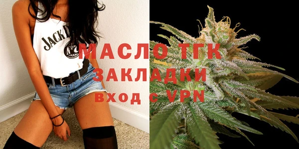 индика Алапаевск
