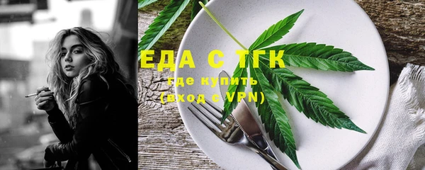индика Алапаевск