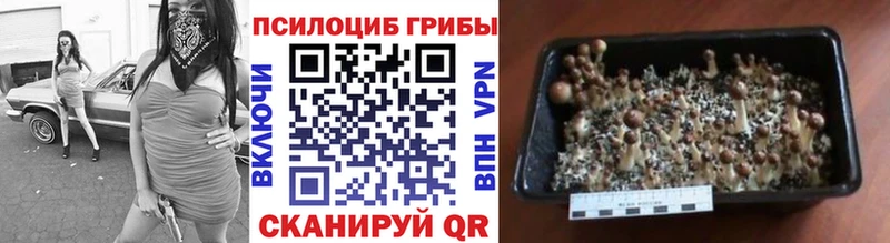 Псилоцибиновые грибы мухоморы  Купить  Жуковка 